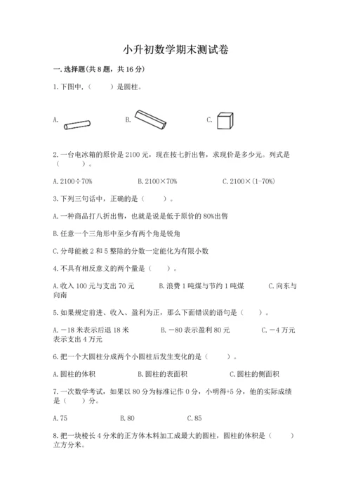 小升初数学期末测试卷新版.docx