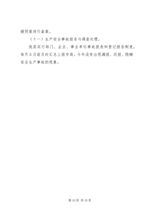 县安全生产监督管理局工作报告.docx
