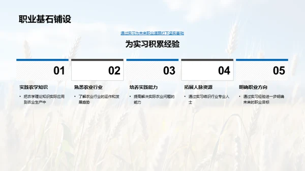 农学实习反思与启示