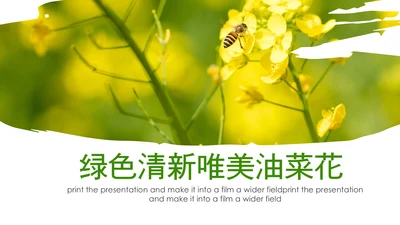 春天乡村旅游油菜花风景油菜花田PPT模板