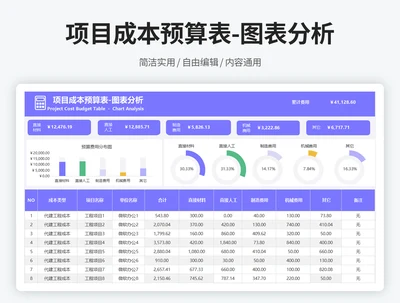 项目成本预算表-图表分析