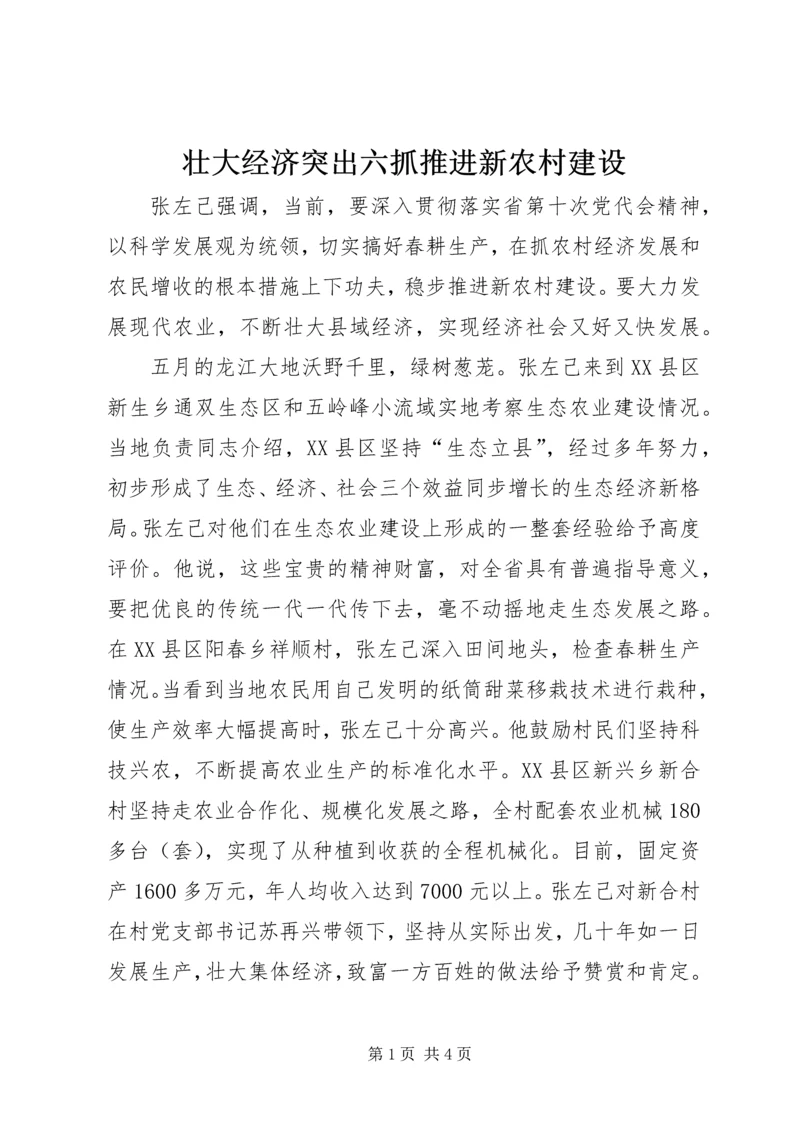 壮大经济突出六抓推进新农村建设.docx