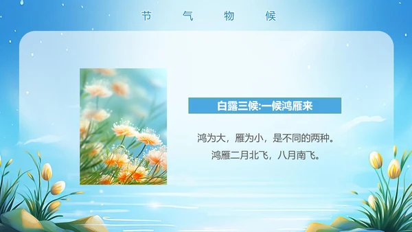 美丽的梦幻传统节气白露PPT模板