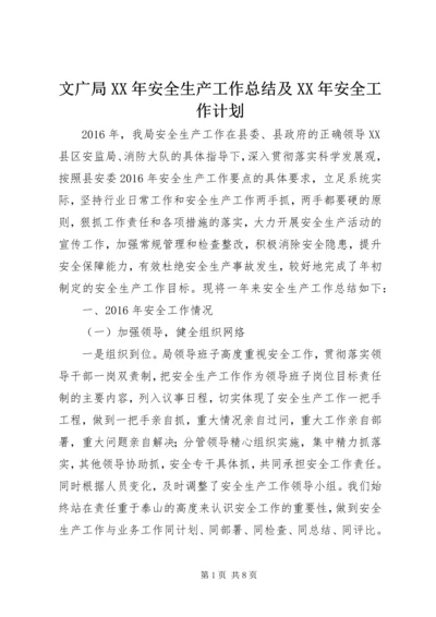 文广局XX年安全生产工作总结及XX年安全工作计划.docx