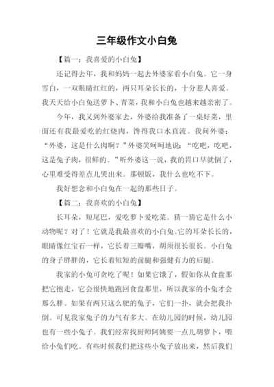 三年级作文小白兔.docx