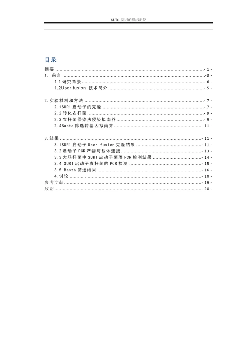 毕业论文—SUR1基因的组织定位.docx