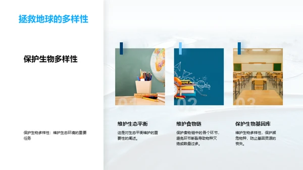 生态环境之魅力