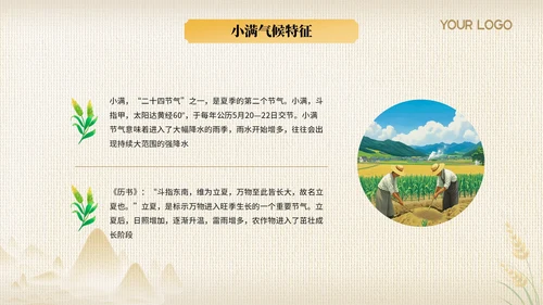 黄色节气之小满PPT模版