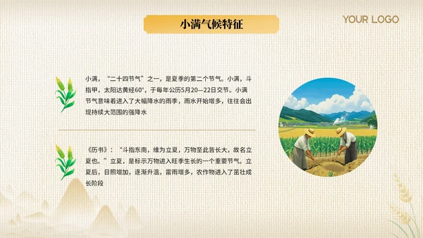 黄色节气之小满PPT模版