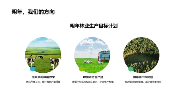 20XX年林业盘点与展望