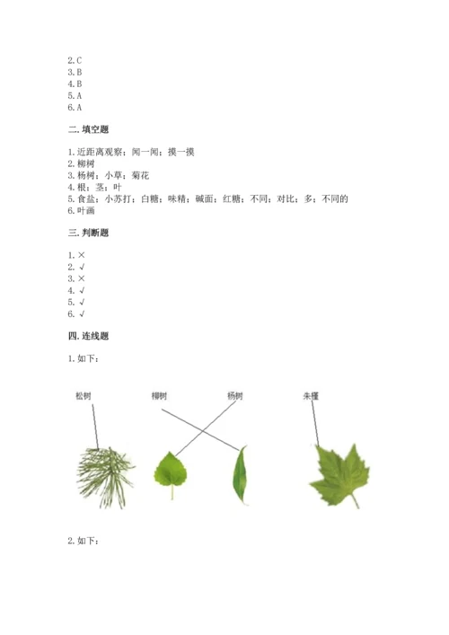 教科版科学一年级上册第一单元《植物》测试卷精品（能力提升）.docx