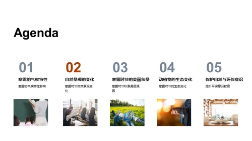 寒露季节的自然奥秘