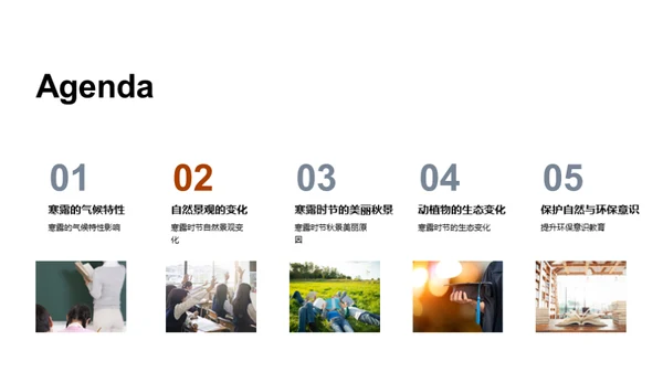 寒露季节的自然奥秘