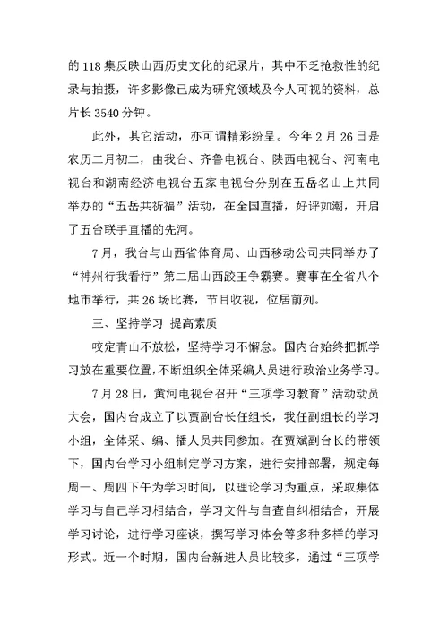 电视台总监个人工作总结