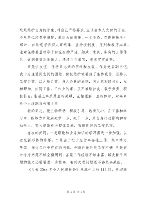 乡长个人述职报告.docx