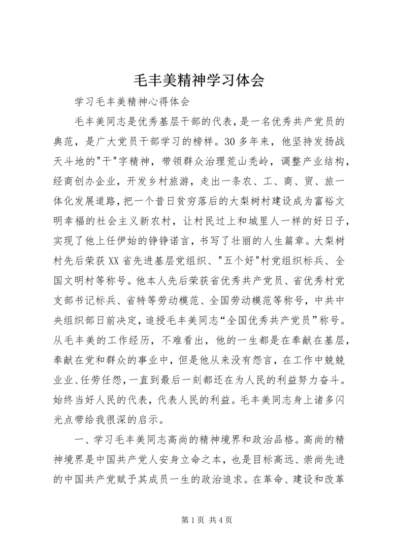 毛丰美精神学习体会 (2).docx