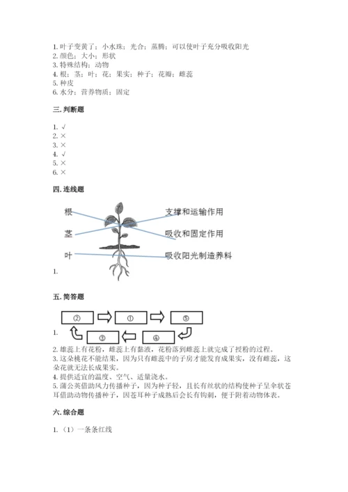 教科版科学四年级下册第一单元《植物的生长变化》测试卷精品（必刷）.docx