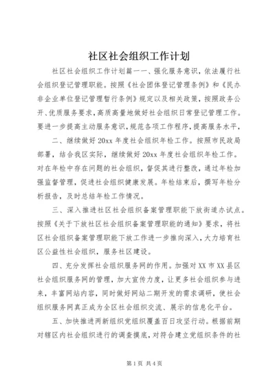 社区社会组织工作计划.docx