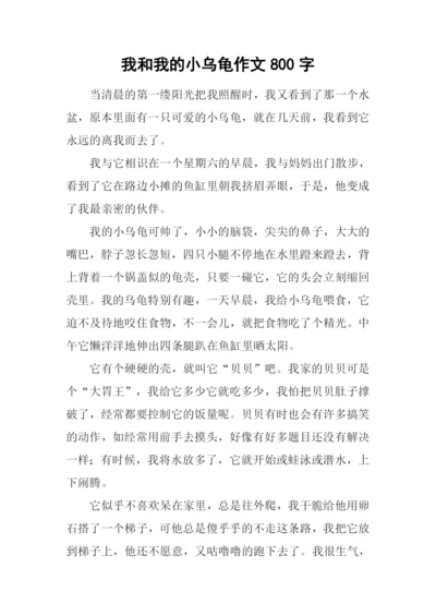 我和我的小乌龟作文800字.docx