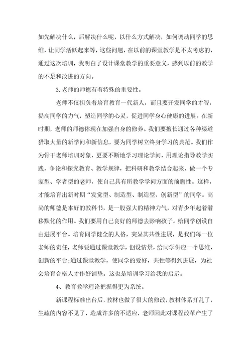 (热)骨干教师培训总结