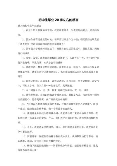 初中生毕业20字左右的感言.docx