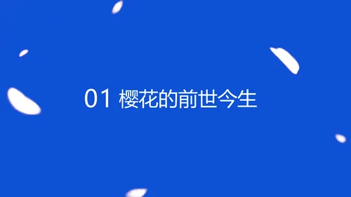 蓝色极简风赏樱攻略