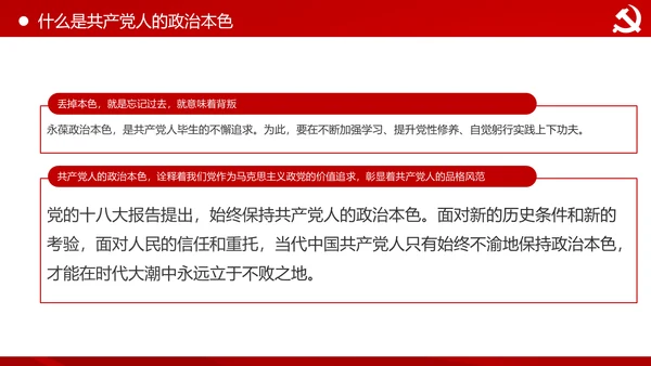 永葆共产党人的政治本色做合格党员PPT模板