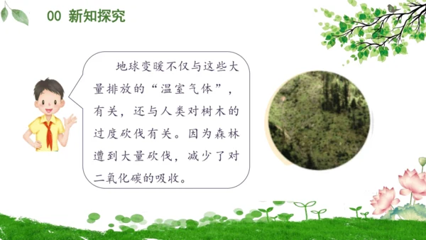 12.低碳生活每一天