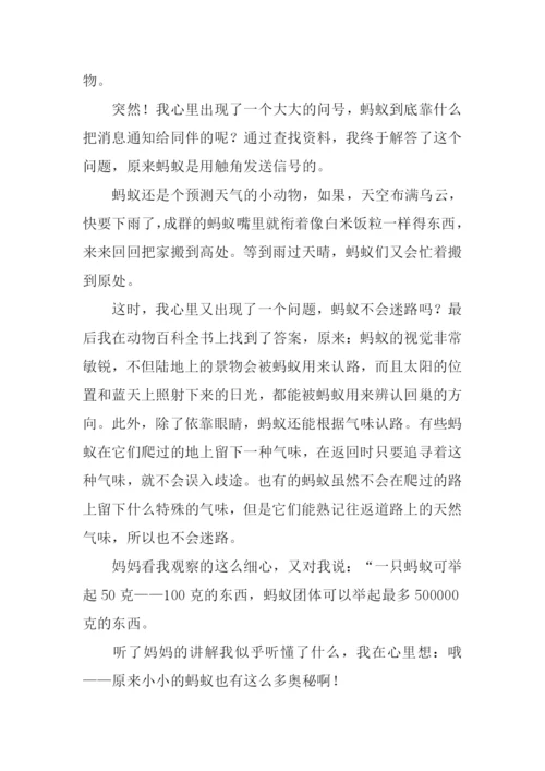 观察蚂蚁的作文400字.docx