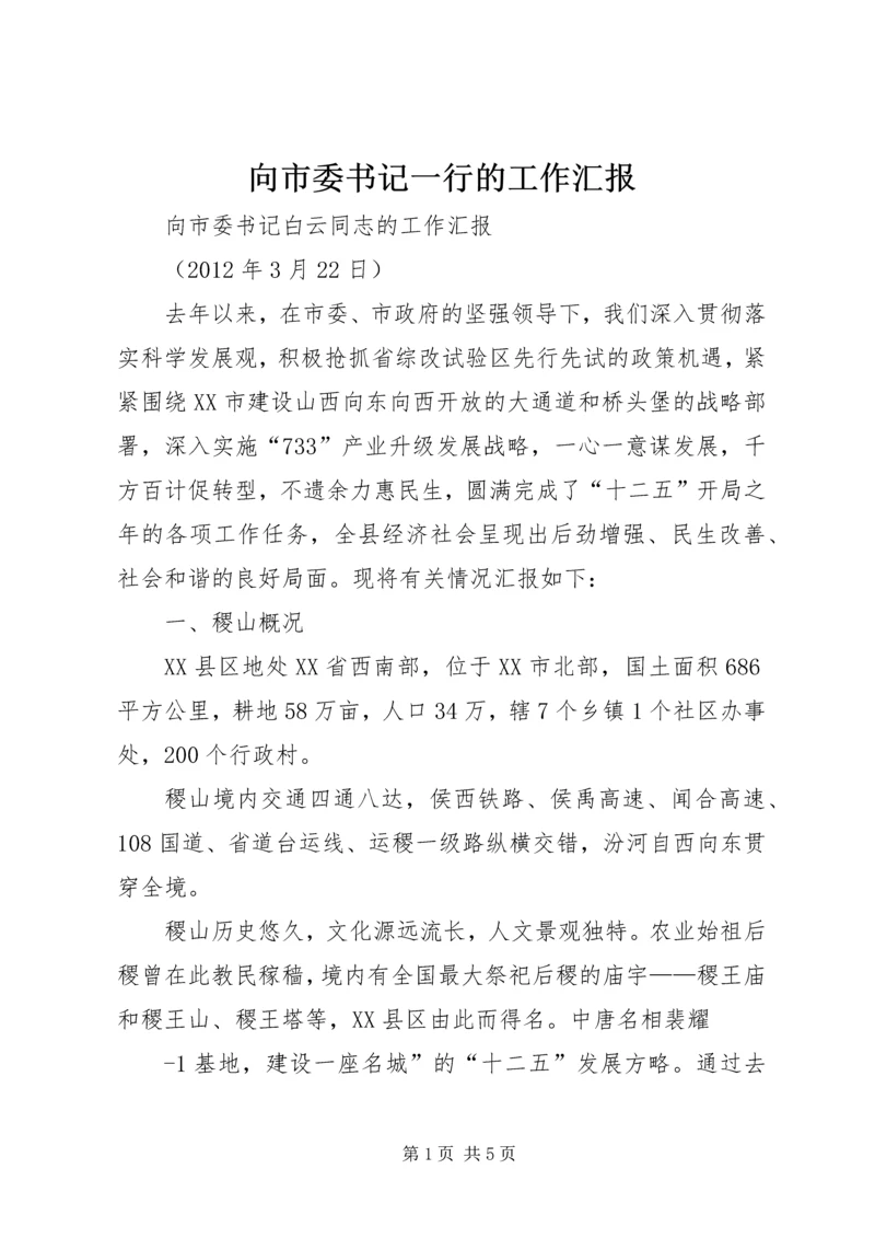 向市委书记一行的工作汇报 (4).docx