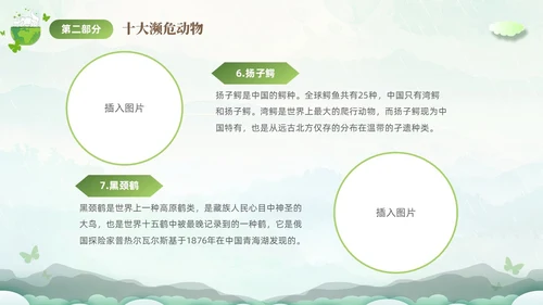 绿色清新剪纸风保护濒危动物拯救美好生命主题PPT世界动物日