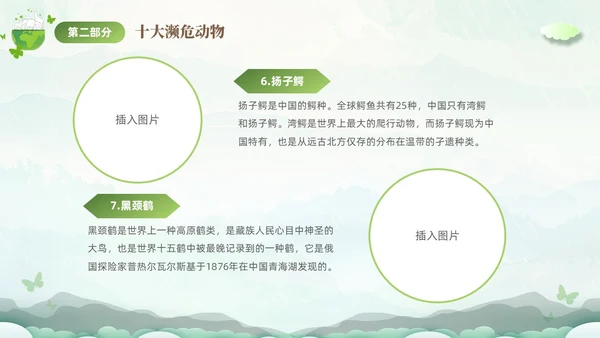 绿色清新剪纸风保护濒危动物拯救美好生命主题PPT世界动物日