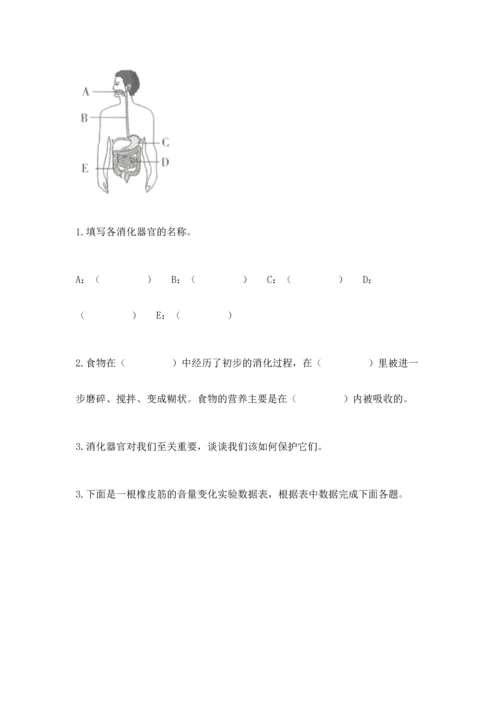 教科版科学四年级上册期末测试卷（历年真题）.docx