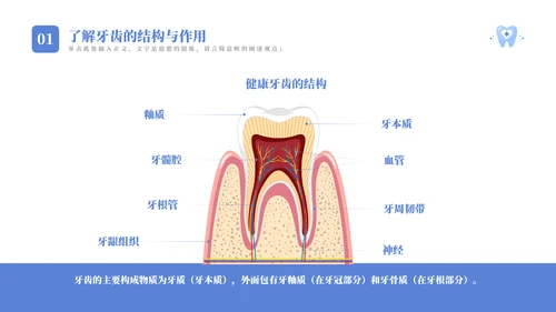 关爱牙齿健康卡通主题教育通用PPT模板