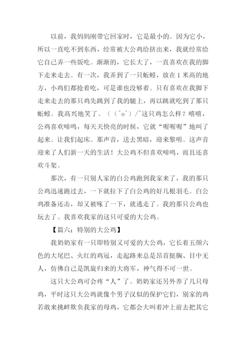 四年级作文大公鸡.docx
