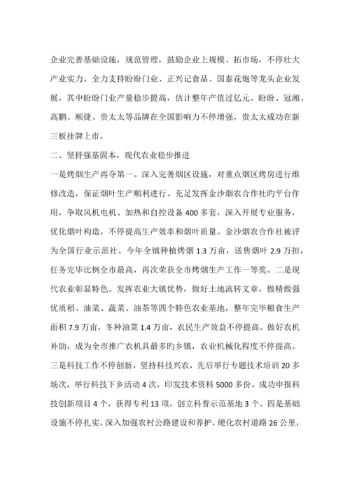 乡镇重点项目年度工作总结.docx