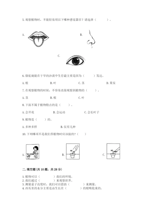 教科版一年级上册科学期末测试卷含完整答案（全国通用）.docx