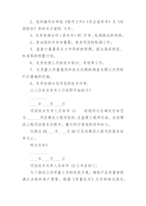 项目技术负责人任命书.docx