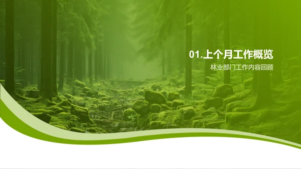 林业部门月度回顾与展望