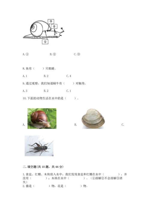 教科版一年级下册科学期末测试卷及答案（最新）.docx