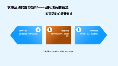 小满节气与农业策略