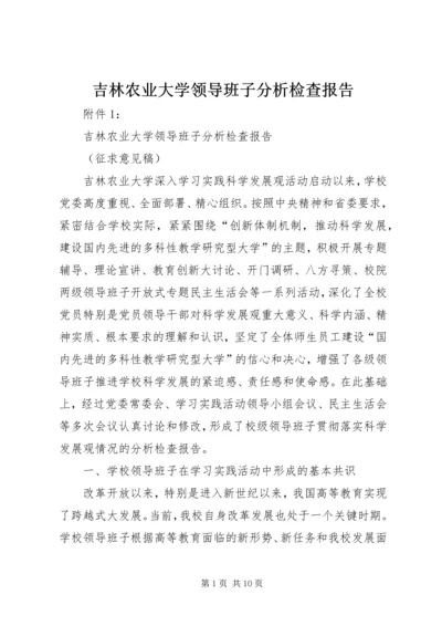 吉林农业大学领导班子分析检查报告.docx