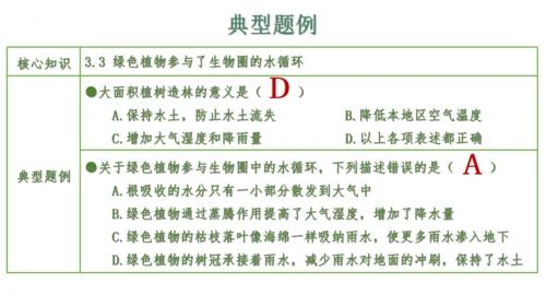 第三单元 植物的生活（单元复习课件）2023-2024学年七年级生物上册同步精品课件（人教版）(共3