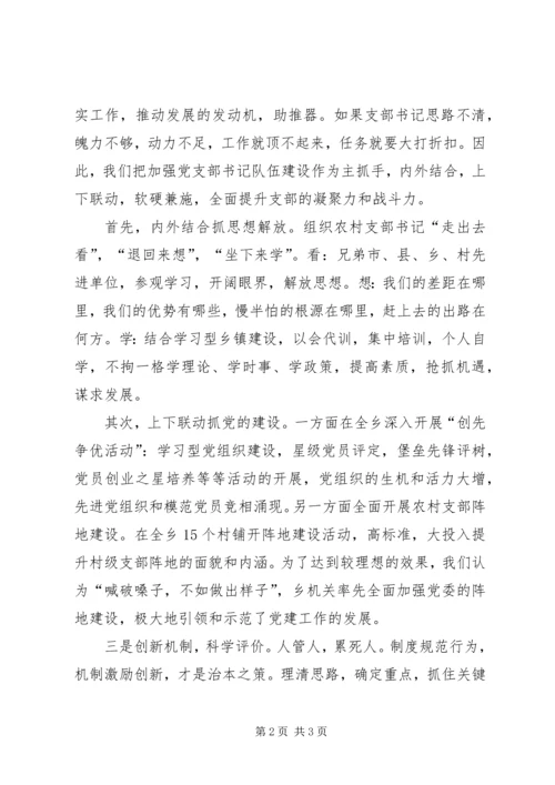 梨园乡关于农村党支部书记队伍建设情况调研汇报 (4).docx