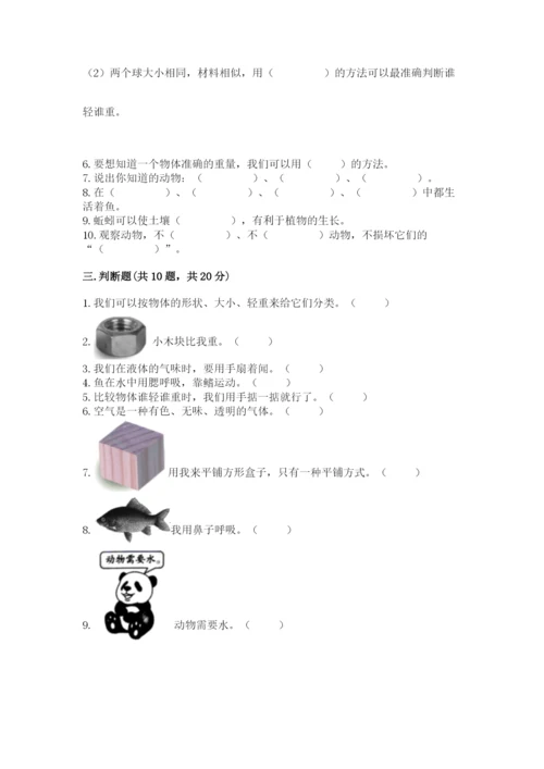 教科版一年级下册科学期末测试卷（全优）word版.docx