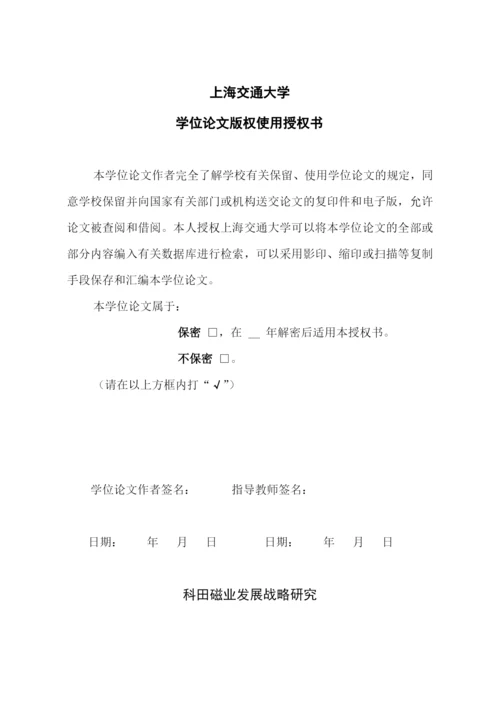 磁业发展战略研究论文.docx