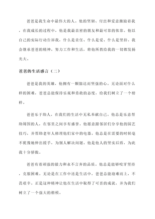爸爸的生活感言