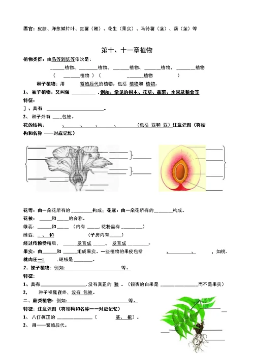 生物七下复习提纲填空版全