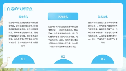 蓝绿色中国风白露节气知识宣传PPT
