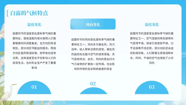 蓝绿色中国风白露节气知识宣传PPT
